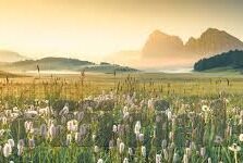 kaiyun全站-云站之江，一个用户的虚影与真实触感之旅